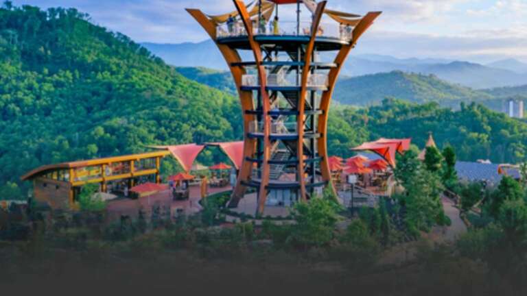 1 Free Adult Admission to Anakeesta