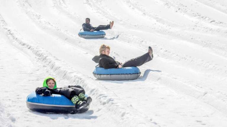1 Free Adult Admission to Rowdy Bear Snow Tubing
