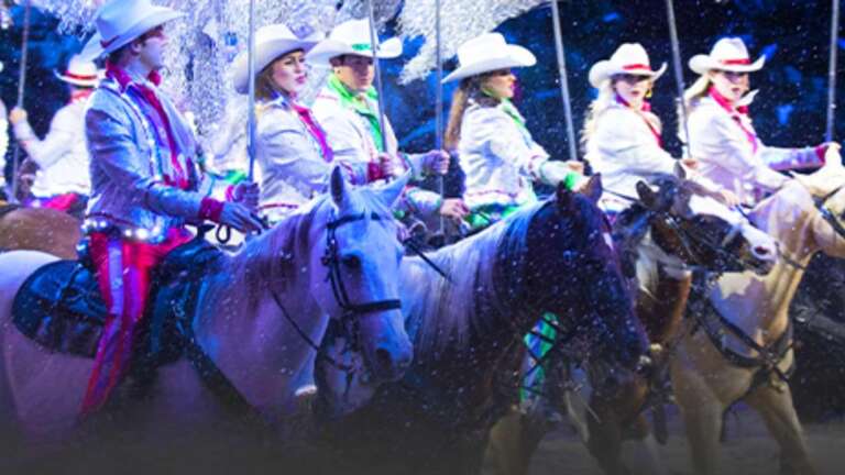 1 Free Adult Admission to Dolly&#39;s Stampede