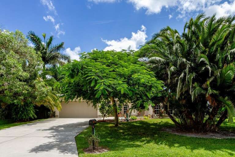 Lush Landscape and Trees Surround Alecia