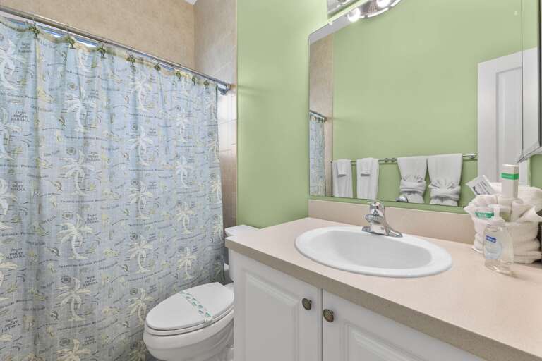 Guest Bathroom with Shower Tub Combo