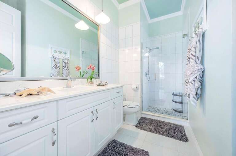 Guest Bathroom with Shower
