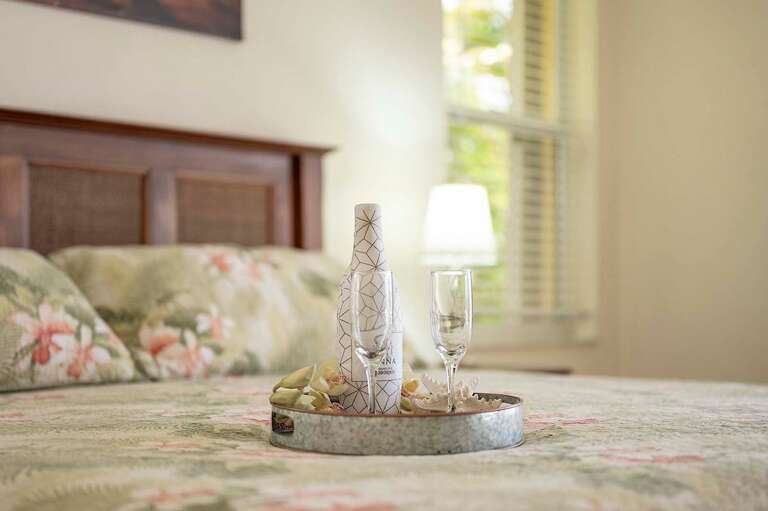 Relax at Breezy Palms