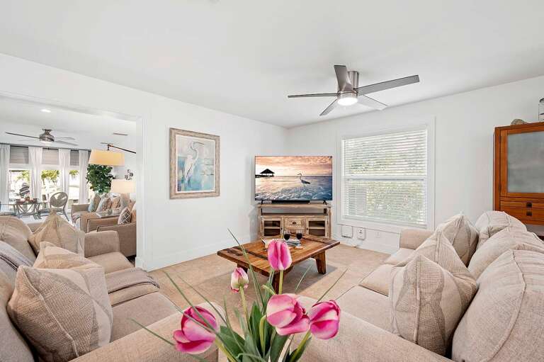 Large Comfortable Couches Ready to Relax