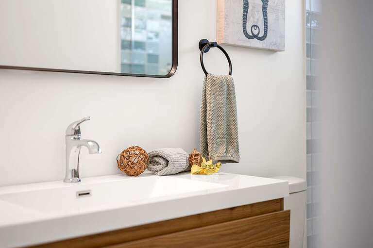 Guest Hallway Bathroom