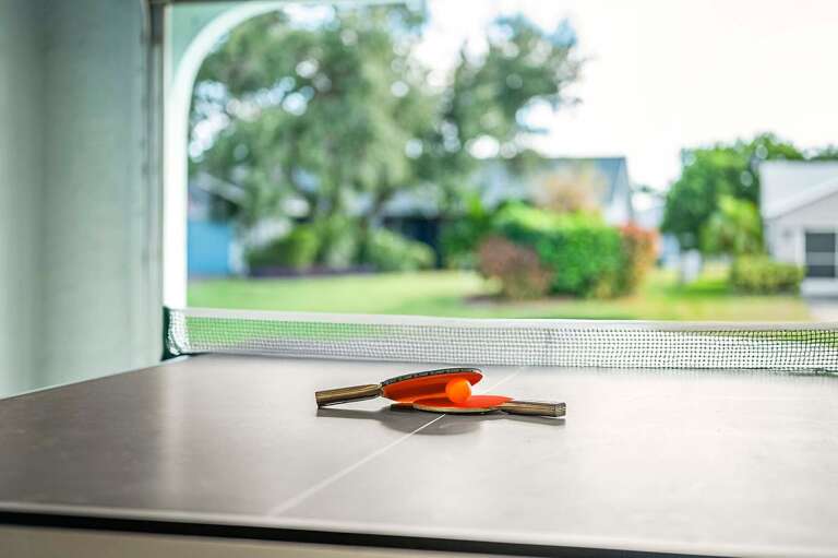 Ping Pong