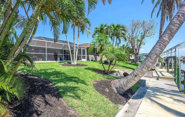 Beautiful Tropical Backyard with Palm Trees
