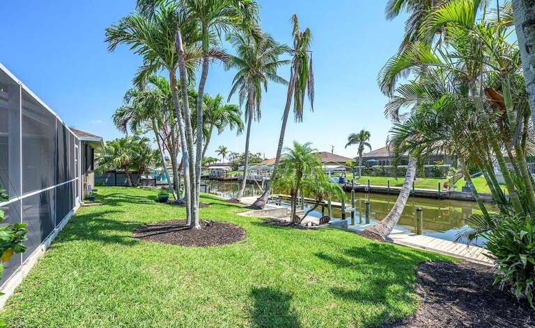 Tropical Backyard
