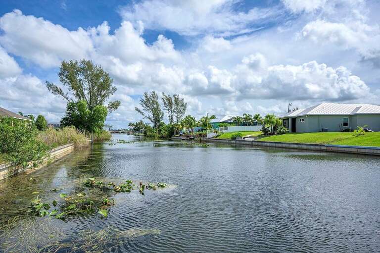 Enjoy the Florida Wildlife