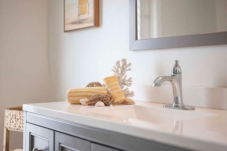 Bathroom Connected to Main Bedroom