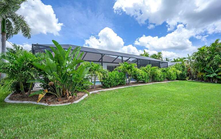 Lush Backyard with Palms and Tropical Flowers