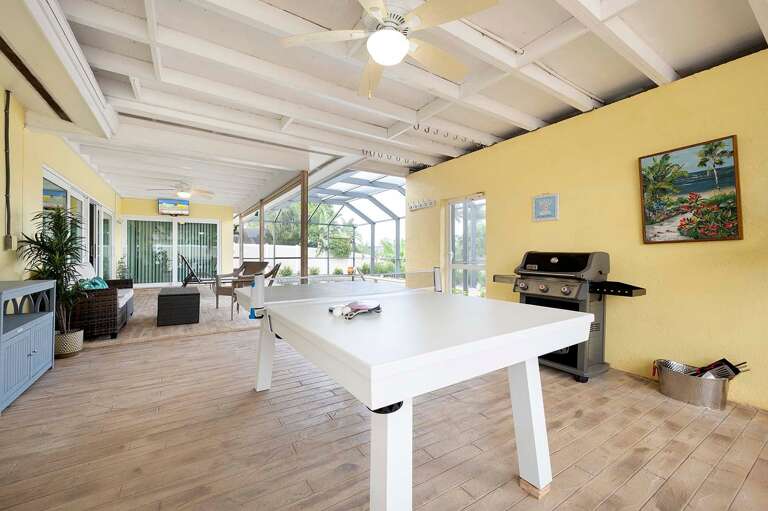 Ping Pong Table