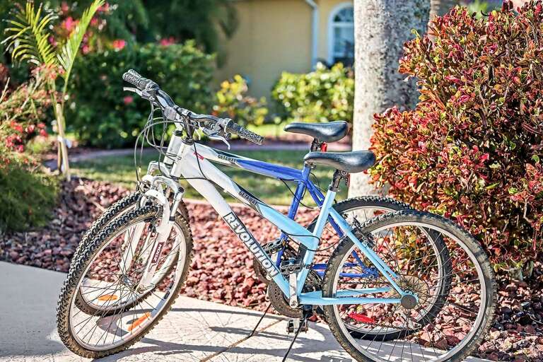 Explore the Neighborhood via Bicycles (Use at Your Own Risk)