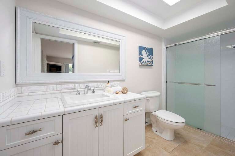 Guest Bathroom with Walk in Shower