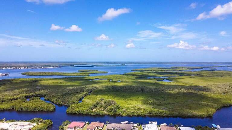 Bird Eye View of Area Surrounding Palm Pointe
