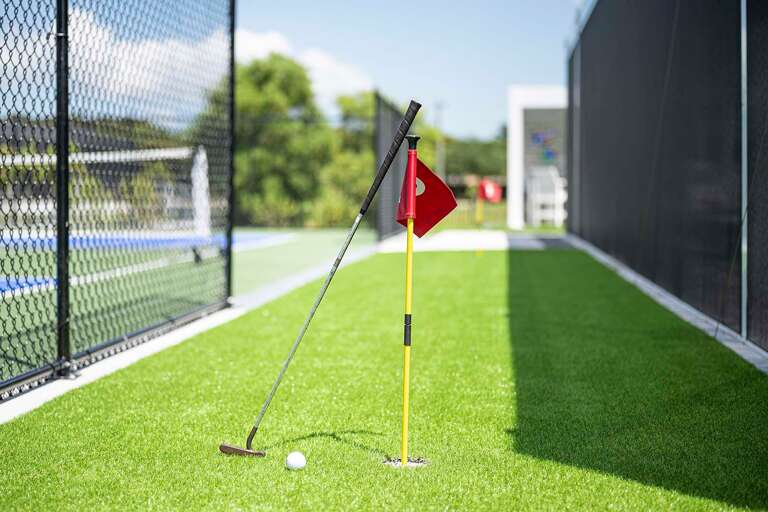 How about Practicing some Putting on your Putting Green?