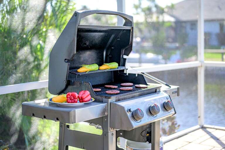 BBQ with a View