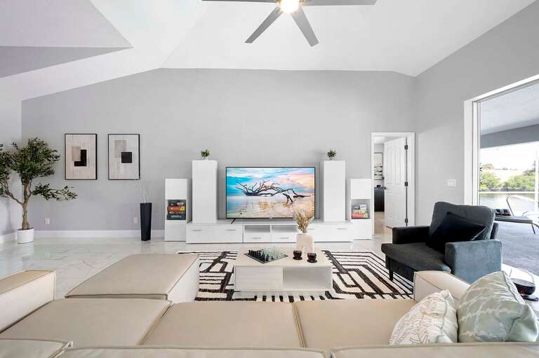 Large Smart TV with Streaming Services