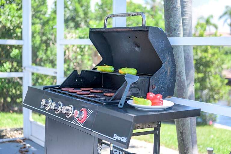 Outdoor BBQ with Propane