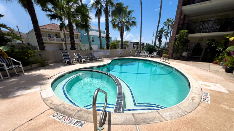 Sunny Scene, Swimming Pool Surrounded By Palm Trees