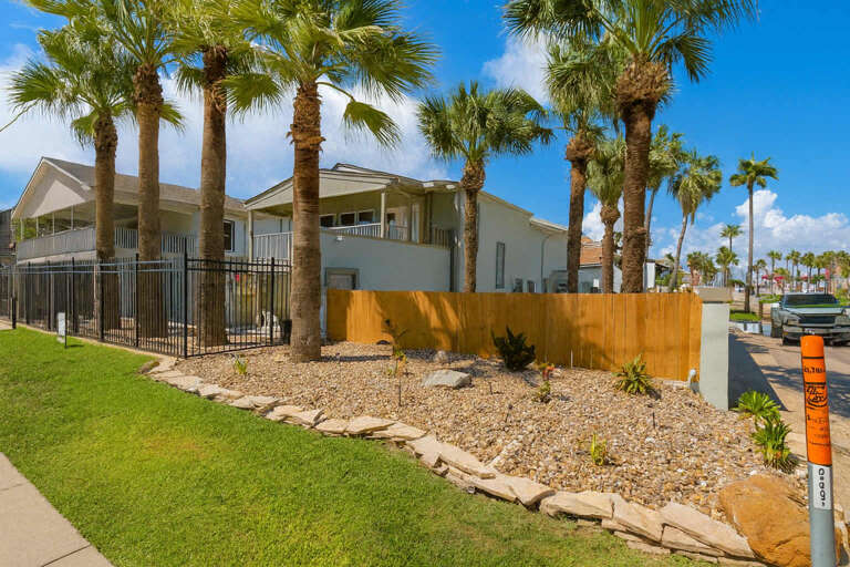 Palm Trees, Fenced Area, Rocky Garden, Lush Lawn