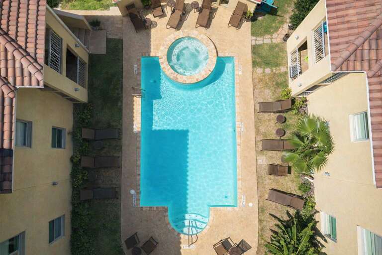 Serene Swimming Pool Surrounded By Sun Loungers And Lush Greenery