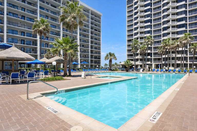 Sunlit Pool, Palm Trees, Towering Buildings, Blue Skies