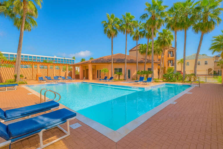 Palm-bordered Pool, Bright Blue Loungers, Sunlit Sky