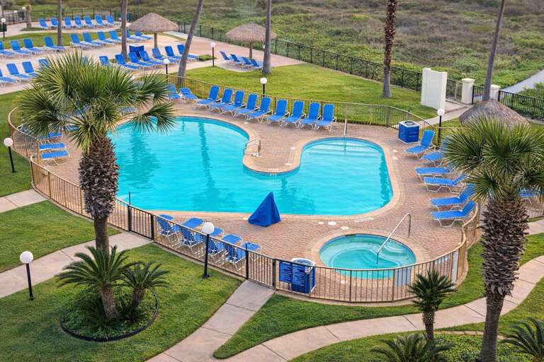 Palm-lined Pool With Blue Lounge Chairs And Circular Spa