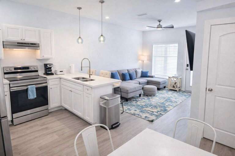 Bright Kitchen, Sleek Sofa, Soft Rug