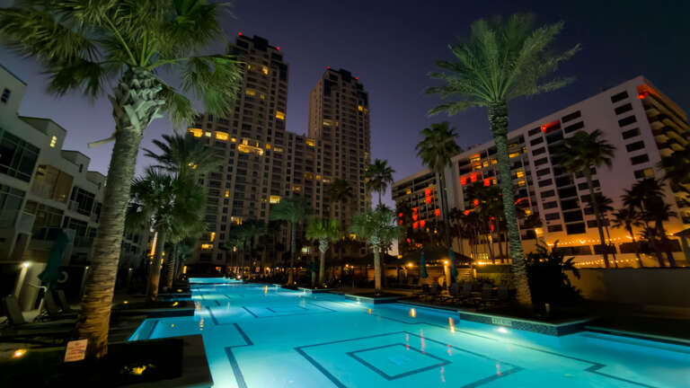 Nighttime View Of A Lit Pool And Palm Trees In Front Of Tall Buildings