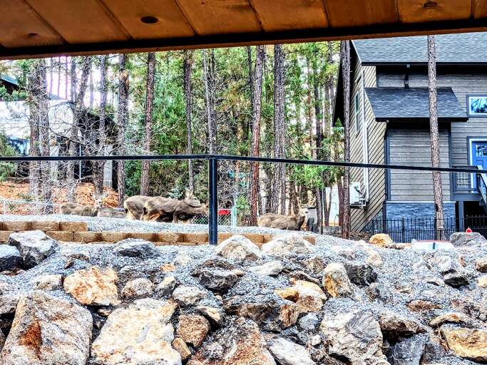 Watch for deer, they love to visit the area!