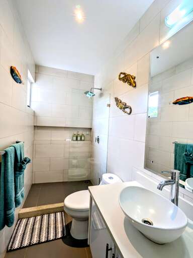 Upstairs Guest Bathroom shower