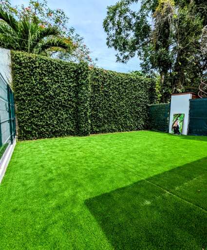 Backyard space with Corn Hole games