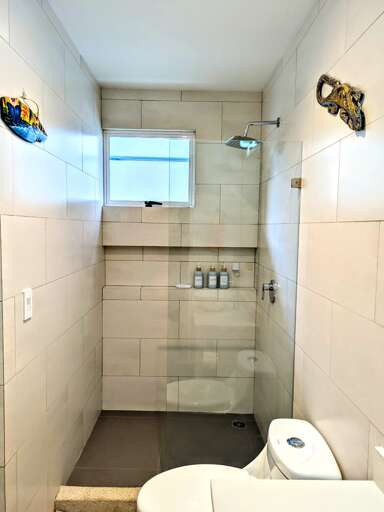 Downstairs Guest Bathroom shower