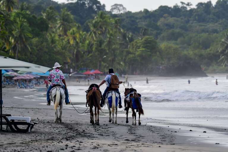 Horseback on the beach?