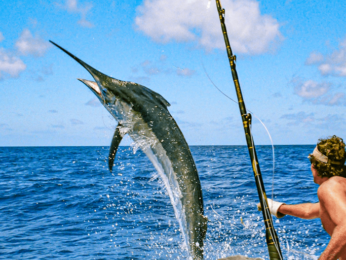 Sport Fishing From Los Sueños Marina