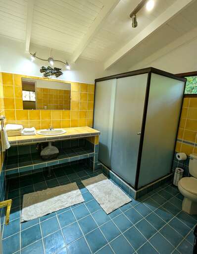 Updated shower in private bathroom