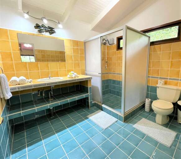 Ensuite bathroom Main Room