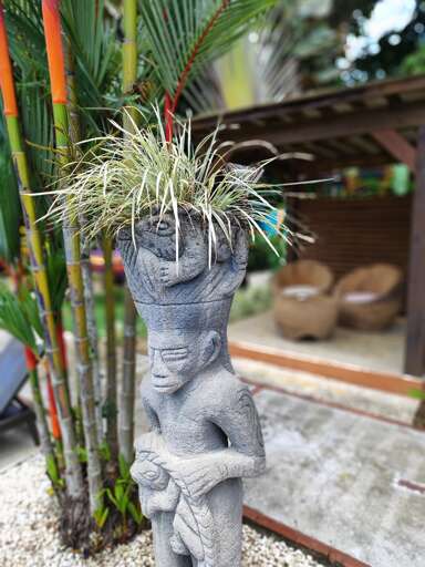 Garden Art