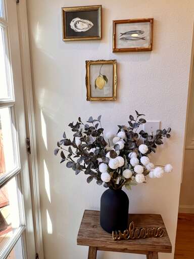 Plenty of Light Plenty of Light