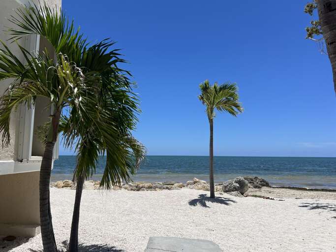 Bird of Paradise is just steps away from the beach