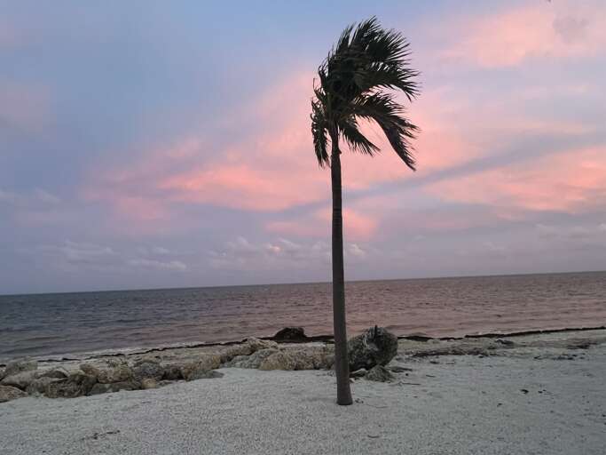 End your day with a stunning sunset by the ocean, where soft pink skies and the gentle breeze create the perfect setting for a peaceful evening. The tranquil beauty of the Keys awaits.