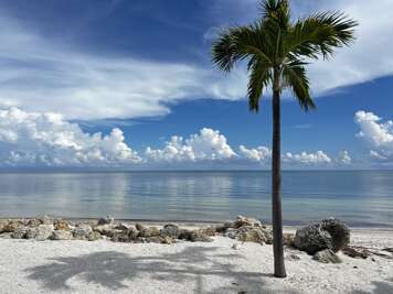 Enjoy a serene walk along the beach, mere steps from your condo.