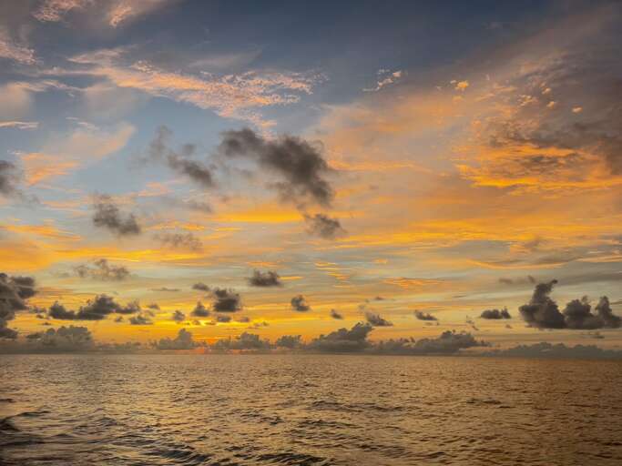 Sunrise