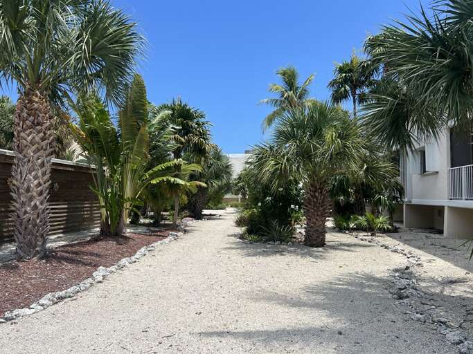 Stroll through the lush, tropical garden at the Royal Plum Club Condominiums