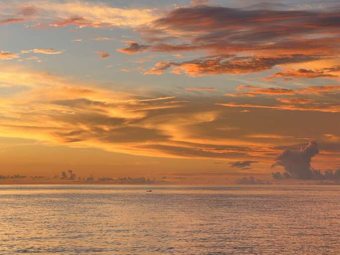Sunset Views: Watch Wildlife from the Dock (Actual Photo: Dolphin Sighted during Golden Hour)
