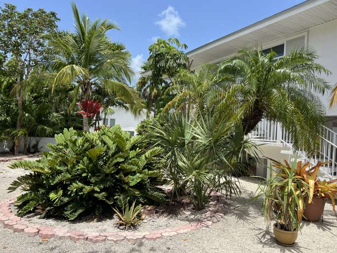 Charming oceanfront house with lush tropical landscaping
