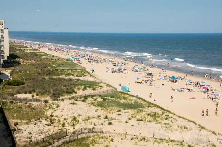 Screenshot 2025-01-21 at 9.13.04 AM.png