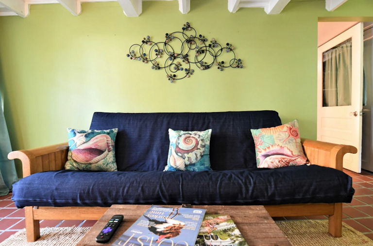 Downstairs Living area with Sleeper Futon